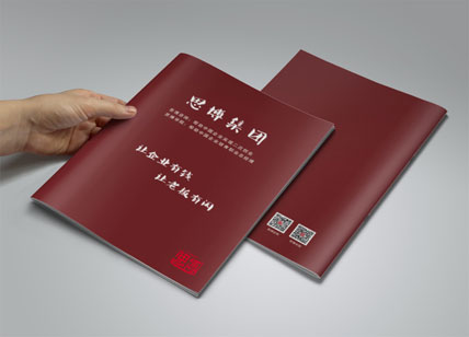 思博企業(yè)管理宣傳冊策劃制作