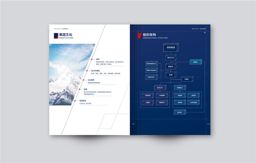 東莞微銀集團公司宣傳冊設計制作欣賞